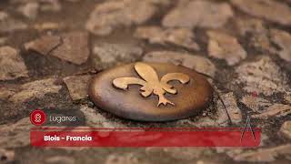 Recorriendo Blois En Francia