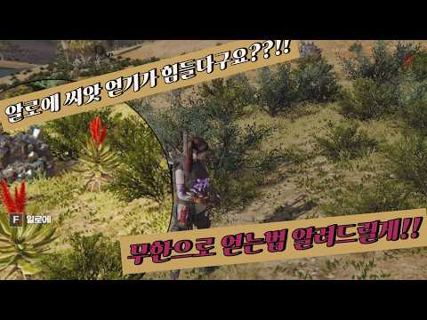 [원스휴먼] 알로에 씨앗이 필요하다면 보세요!