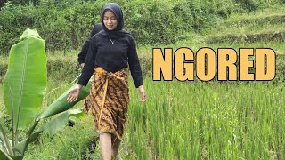 Turun Hujan Liwet Basah di Saung Sawah, Gadis Desa Indonesian Rural Life