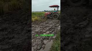 YM3 Thị Uy Sức Mạnh ; Yanmar Đức Nam Địa Chỉ Tin Cậy Của Quý Vị