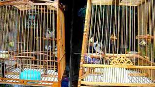 Full DSCF3304.AVI News