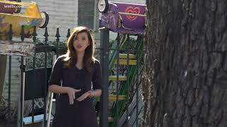 Word Spreads Quickly About Mardi Gras Ladder Sweep