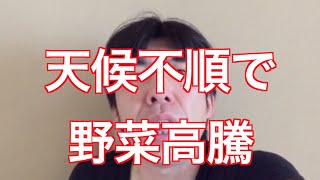 「天候不順で野菜高騰」 ねづっち (ニュース)
