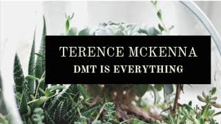 DMT IS Everything - Terence Mckenna