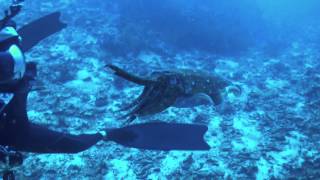 Richelieu Rock On A Pershing 92