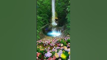 من روائع التلاوة ( وكل انسان الزمناه طائره في عنقه... ) #قرآن_كريم_راحة_نفسية #اكسبلور #explore