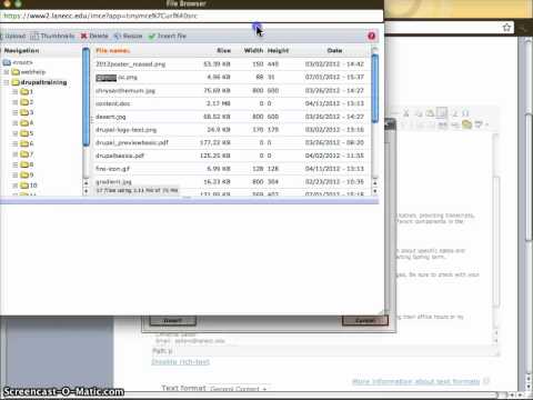 Drupal - Insert Image