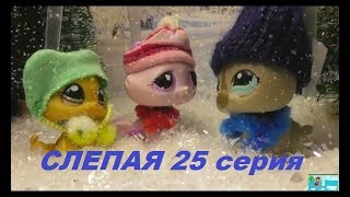 LPS: Слепая 25 серия LPS: Слепая 25 серия