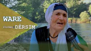 Dadîya Çîçege \