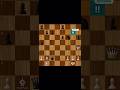 Um puzzle todo dia #xadrez #puzzle #chess