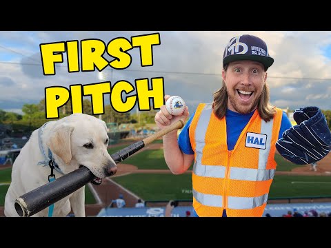 Handyman Hal plays Baseball ⚾️ Baseball Dog, First Pitch and Fireworks