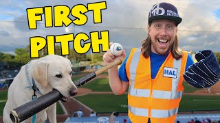 Handyman Hal plays Baseball ⚾️ Baseball Dog, First Pitch and Fireworks