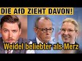 AfD WIEDER vor der CDU - Der nächste Umfrage-Hammer | Weidel beliebter als Merz