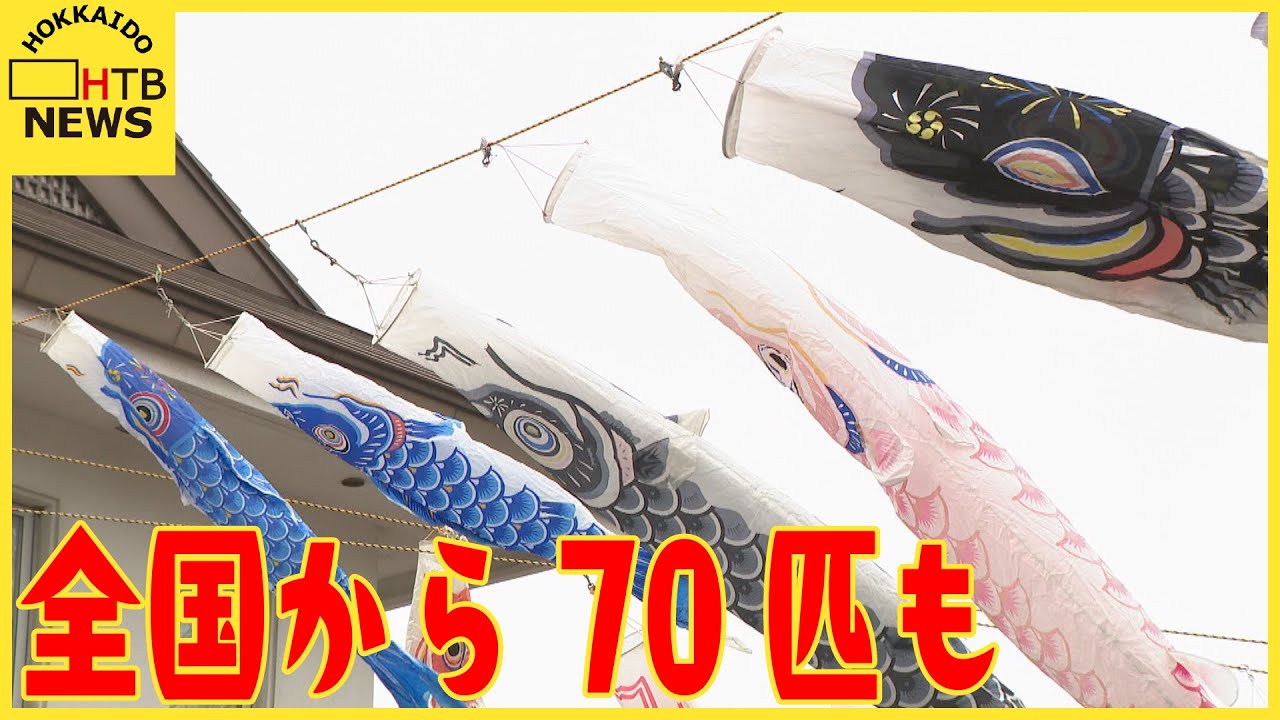 子供たちがすくすくと…」登別に早くも鯉のぼり 盗難事件で70匹以上