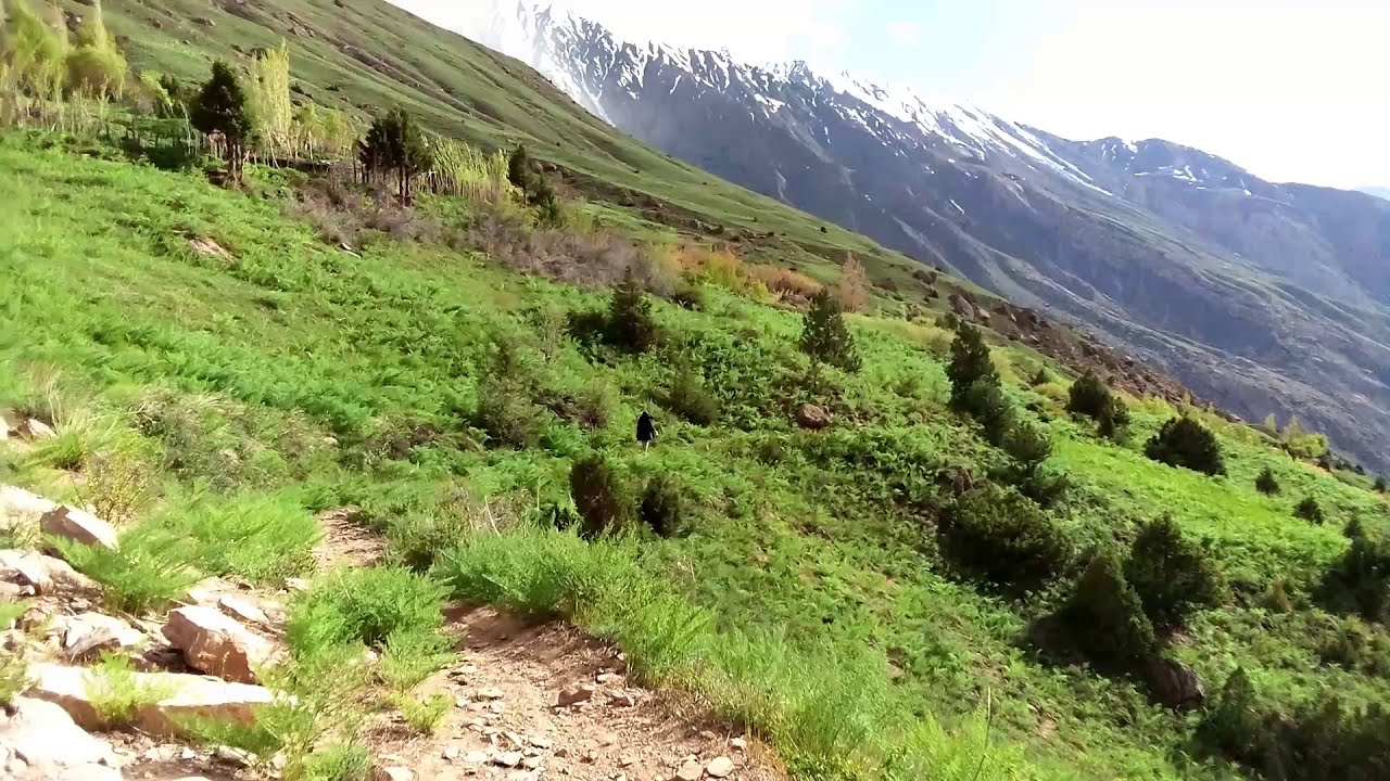 Mini Paradise Muzak Reshun