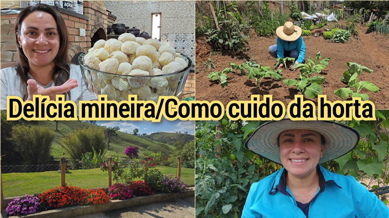 RENOVEI CANTEIROS E FIZ PLANTIO/NHOQUE DOCE DE QUEIJO COM COCO/TUDO FICANDO VERDINHO POR AQUI. 