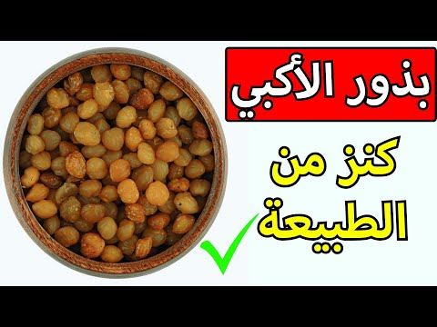 لن تتخيل فوائد بذور الأكبي الأفريقية هل فعلا بذور الأكبي تزيد الوزن احذر تناولها بهذه الطريقة