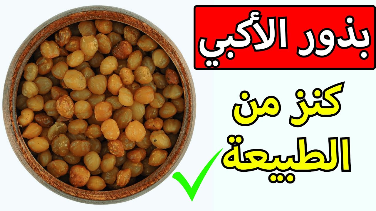 لن تتخيل فوائد بذور الأكبي الأفريقية! هل فعلاً بذور الأكبي تزيد الوزن! احذر تناولها بهذه الطريقة❌