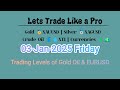 Intraday Trading Levels: Mastering the Commodities Market