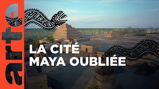 Naachtun - La Cité Maya Oubliée Arte