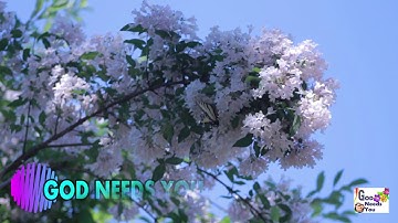 Othiri Othiri Snehichorellam  / Malayalam Christian song by Sujatha Mohan.