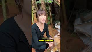 The Definition Of Love Between Different Species