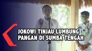 Jokowi Tinjau Food Estate di Sumba Tengah NTT