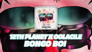 12th Planet & Oolacile - Bongo Boi (Teaser)