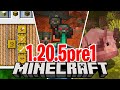VERSIONE VICINA e NEWS nelle TRIAL CHAMBER - Minecraft ITA 1.20.5 Snapshot pre1