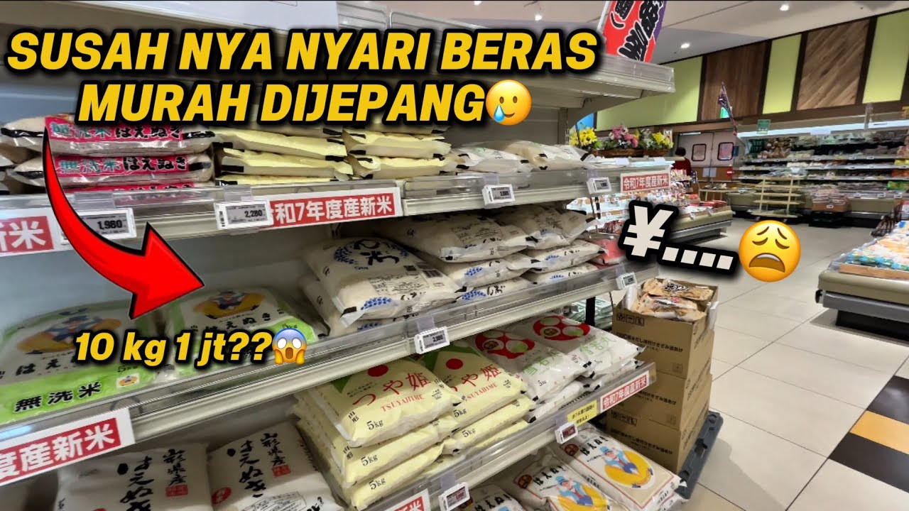 NEKAT KELILING SUPERMARKET DEMI MENCARI BERAS MURAH  DIJEPANG🇯🇵🌾‼️
