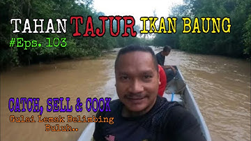Tajur Ikan Baung | Eps. 103