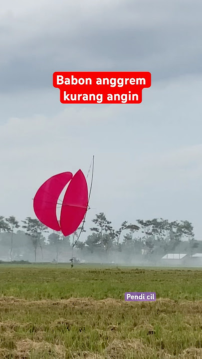 The moment the Babon Anggrem kite failed to fly #kite