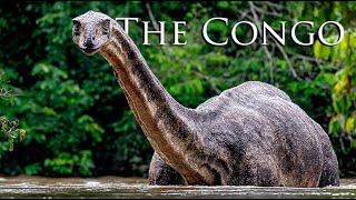 The Dinosaur That May Still Be Alive in the Congo Rainforest? The Hidden World Inside Africa