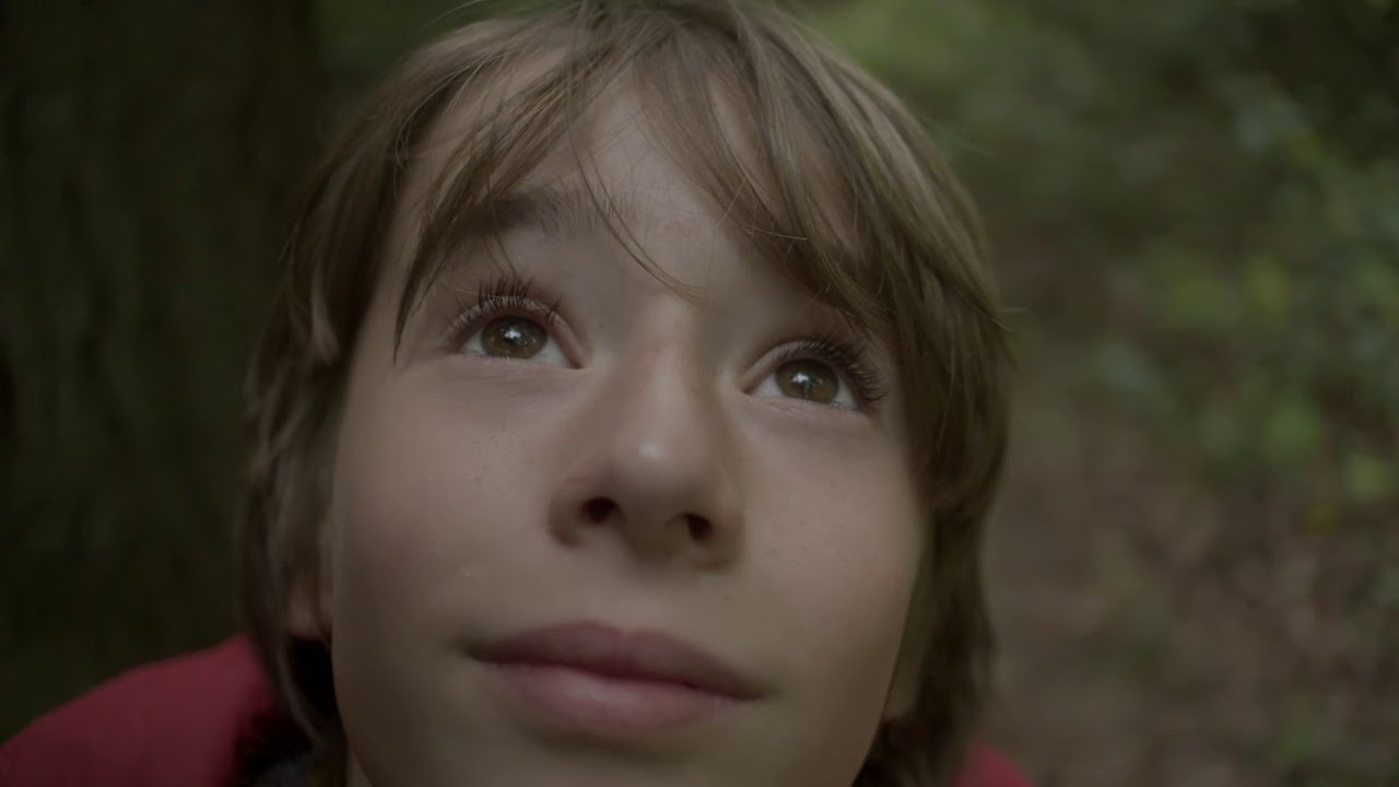 NOTTIFF 2017 - Fruition Trailer