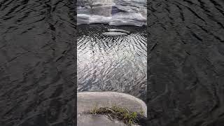 7 cajones, Río Grande, San Luis Argentina #river #nature #argentina #paisajesargentinos #shortvideo