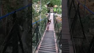 3 Bedroom Treehouse Has A Bridge Over A Creek