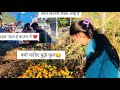 आज हमने घर की सजावट की ✨❤️! ! आख़िर हमने इतने फूल क्यों तोड़े 😁😲