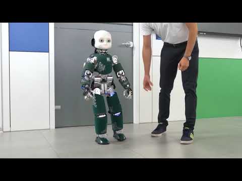 iCub video