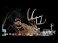 WISCONSIN 8-POINT BUCK 2020 - Bow Hunting Whitetails