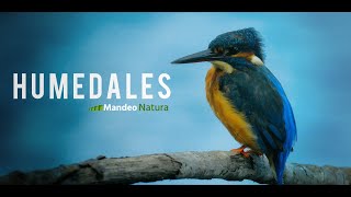 Documental "HUMEDALES" - Trailer Oficial
