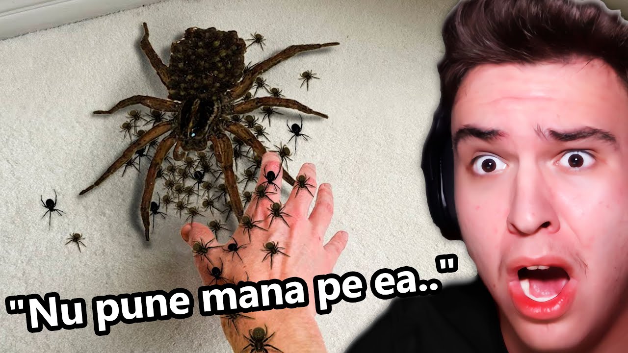 De Ce A Pus Mâna Pe Ea?..
