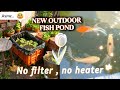 How i made a small outdoor fish pond without any money 💰🚫