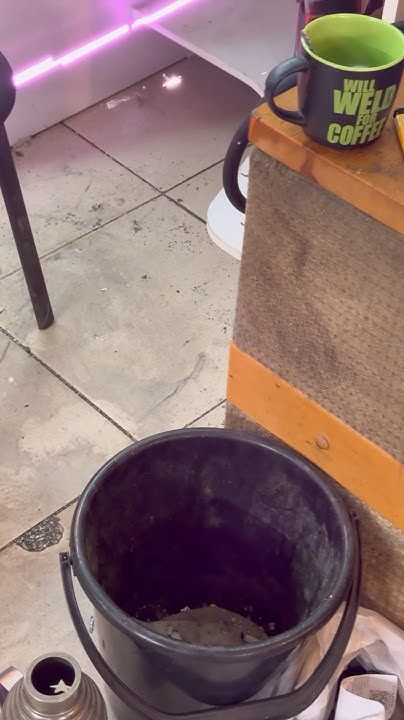 Лазерная охота на мух😂 - YouTube