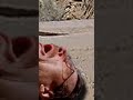 waltuh shoots himself (no this wasn't meant to be a short) #breakingbad #rip #gun #viral