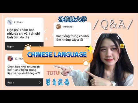 Video [QUESTION&ANSWER] CHIA SẺ VỀ NGÀNH HỌC CỦA MÌNH????????|... - youtube