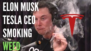 Elon Musk Tesla CEO Smoking Weed LIVE!