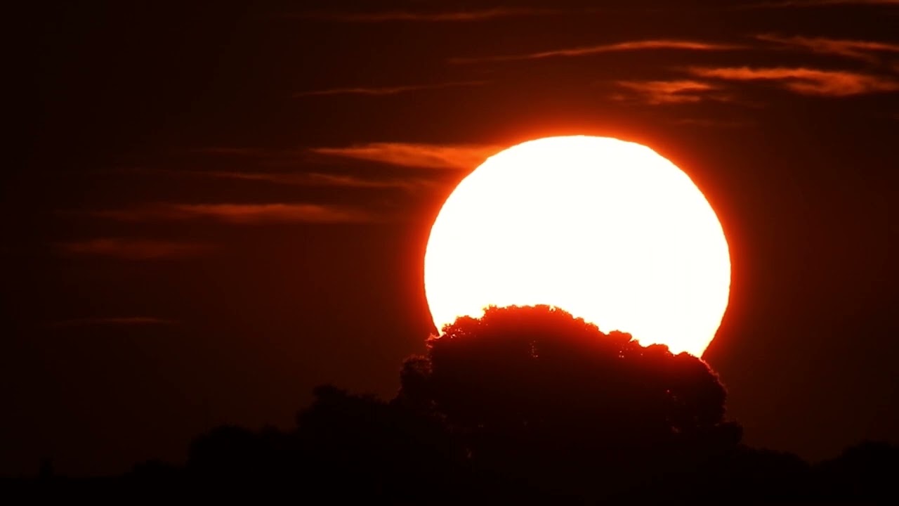 Muzică terapeutică pentru liniștea sufletului 