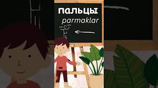 . Türkçe. Турецкий.русский.28