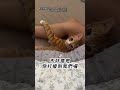 貓又贏 掀男友被子發現祕密 小三躺姿嫵媚還在摸腿XD 棉被 男友 情侶 貓 貓又贏 掀男友被子發現祕密 小三躺姿嫵媚還在摸腿XD 棉被 男友 情侶 貓