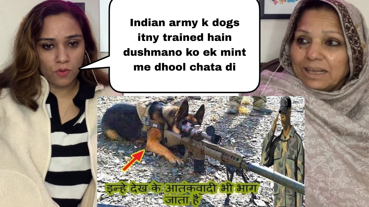 Indian army brave trained dogs who can do Everything 😲 || Pakistani Reaction